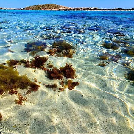 Apartmán Nissi Golden Sands Family