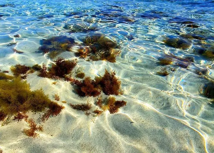 公寓 Nissi Golden Sands Family