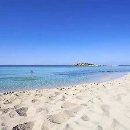 Nissi Golden Sands Family