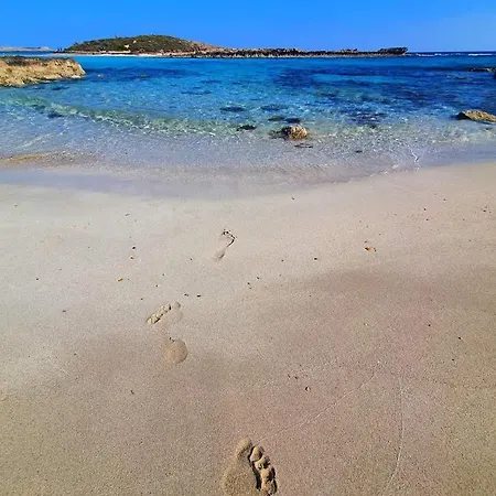 Appartement Nissi Golden Sands Family